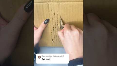Fan challenge 2:box test! #nails #ellievincynails #pressonnails #nailhacks